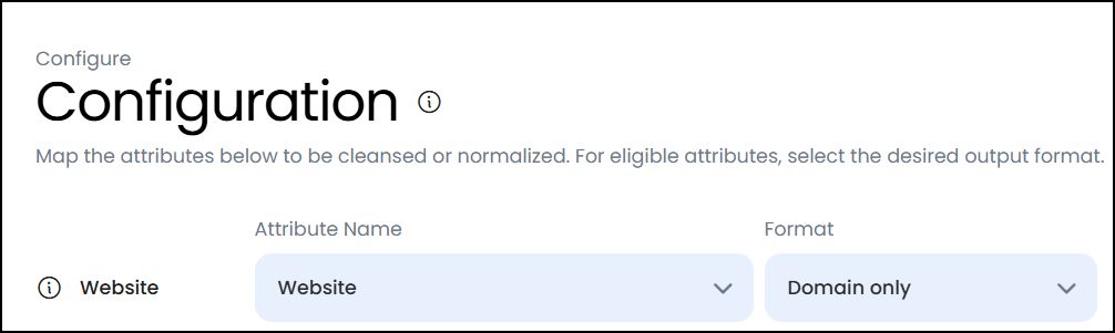 Data Quality Configure Website.png