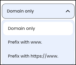 Data Quality Configure Website options.png